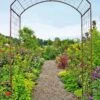 Jardin Rose Arch 1 Jardin Rose Arch -Gardeners GS38690 02 rose trellis tif