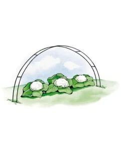 Super Hoops, Set Of 6 10 Super Hoops, Set Of 6 -Gardeners GS39423 02S 3 4