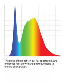 Bamboo Display LED Grow Light Garden -Gardeners LED ColorSpectrum grid PDP