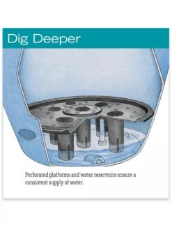 Viva Round Self-Watering Rolling Planter, 14" Diameter 11 Viva Round Self-Watering Rolling Planter, 14" Diameter -Gardeners hiw 39 326 jpg